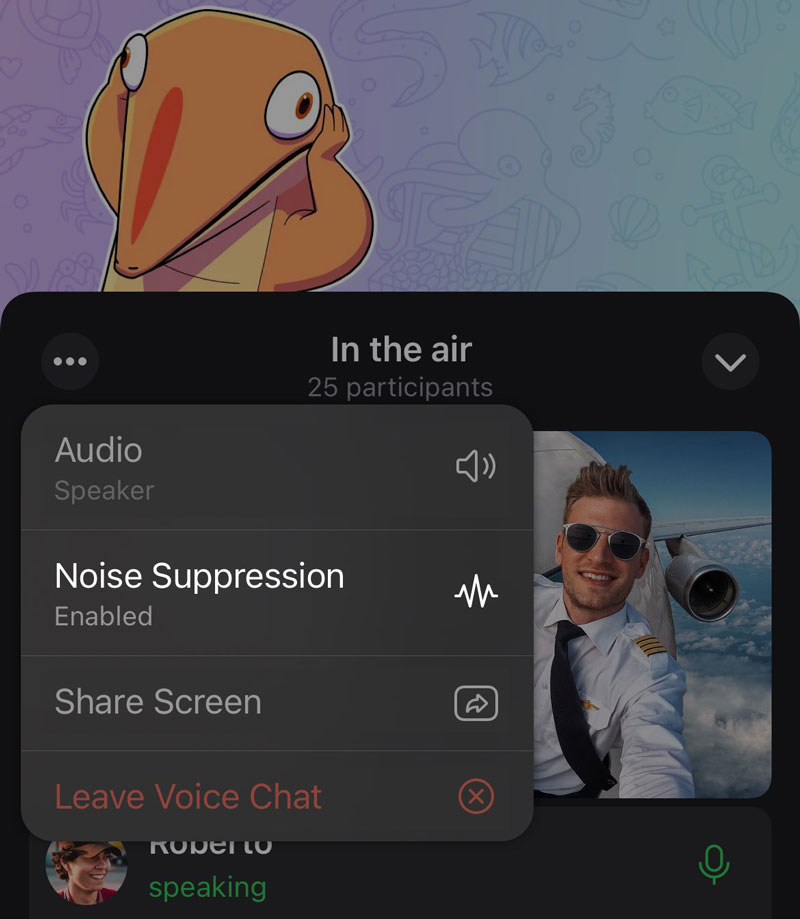 telegram-noise-suppression-option